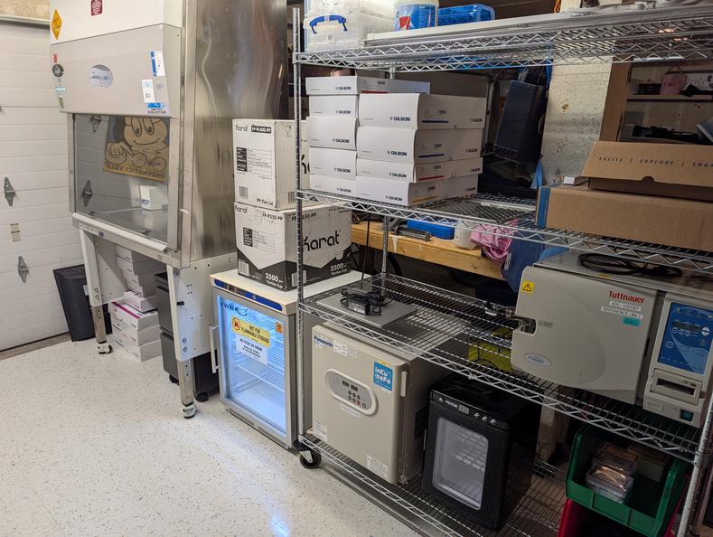 Laminar flow hood (BSC), autoclave and incubator